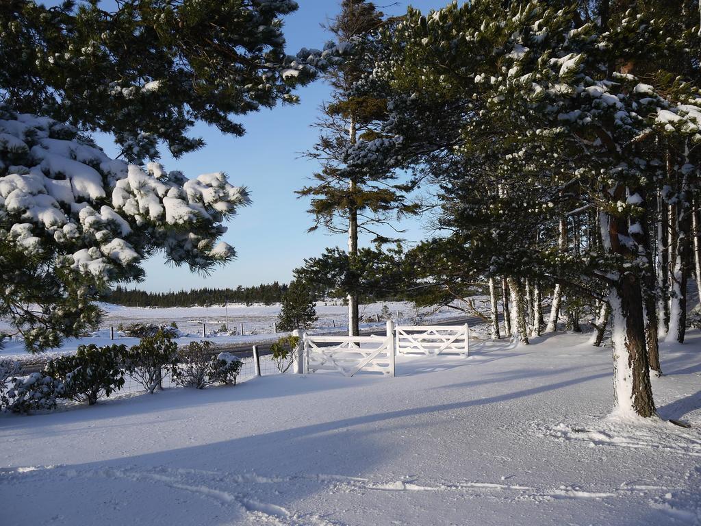 Dava School House Bed & Breakfast Grantown-on-Spey Bagian luar foto